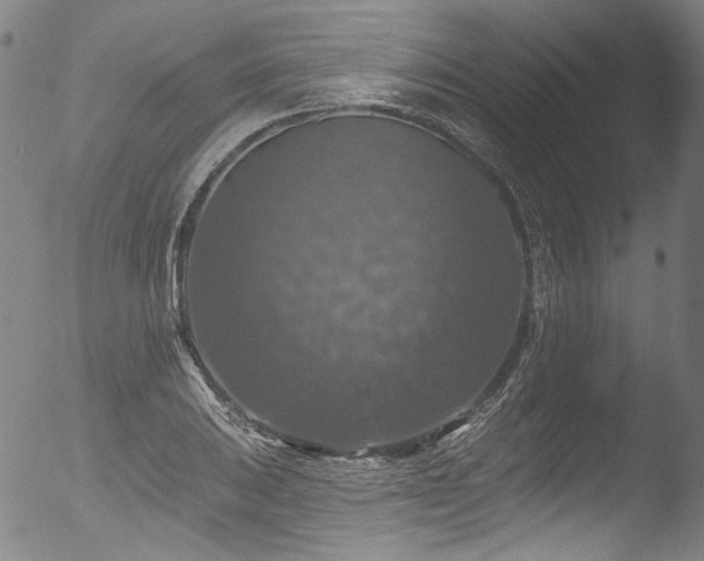 X0000053101031200507111218