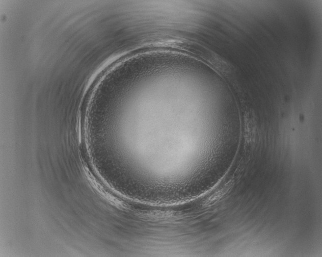 X0000053101036200507111218