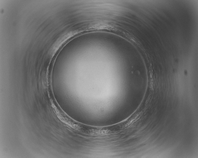 X0000053101039200507111218