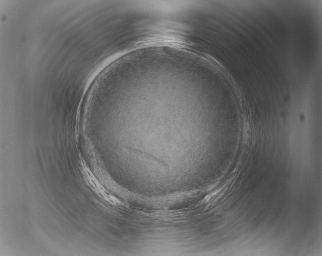 X0000053101052200507111219