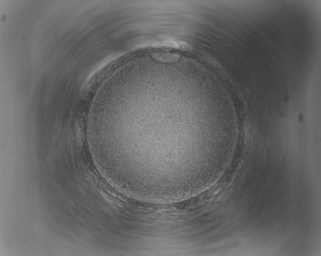 X0000053101064200507111218
