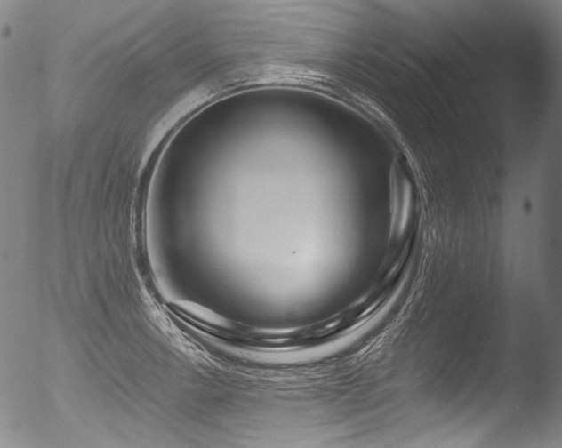 X0000053101138200507111217