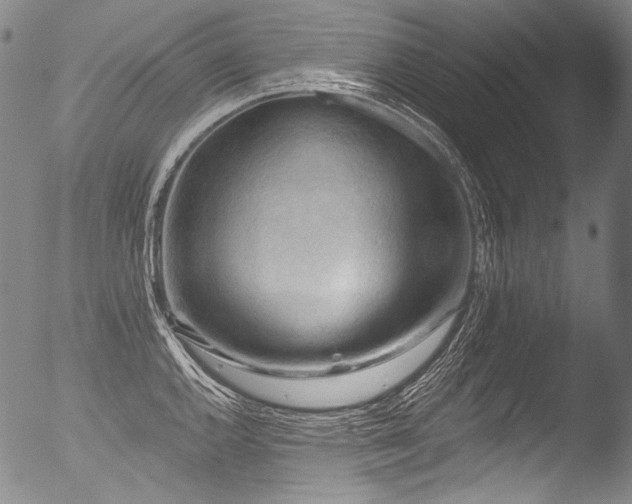 X0000053101144200507111217