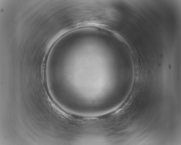 X0000053101151200507111217