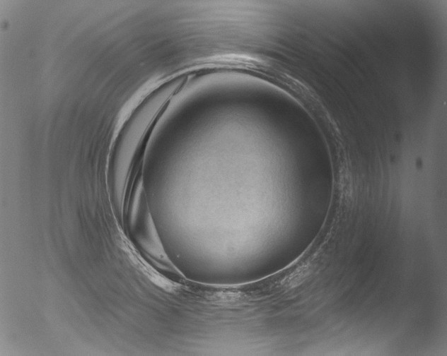 X0000053101180200507111216