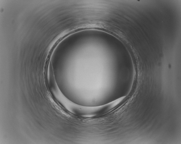 X0000053101181200507111216