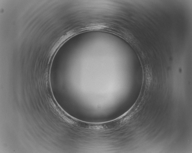 X0000053101186200507111216
