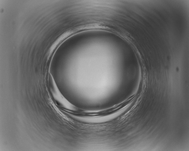X0000053101197200507111216