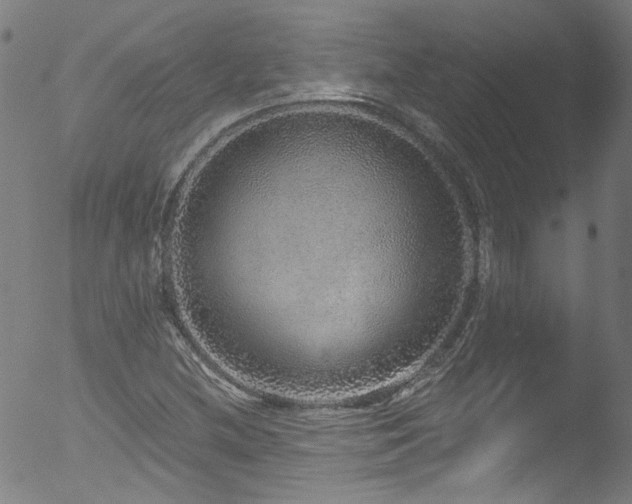 X0000053101212200507111215