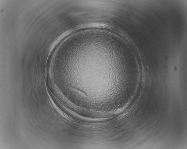 X0000053101237200507111215