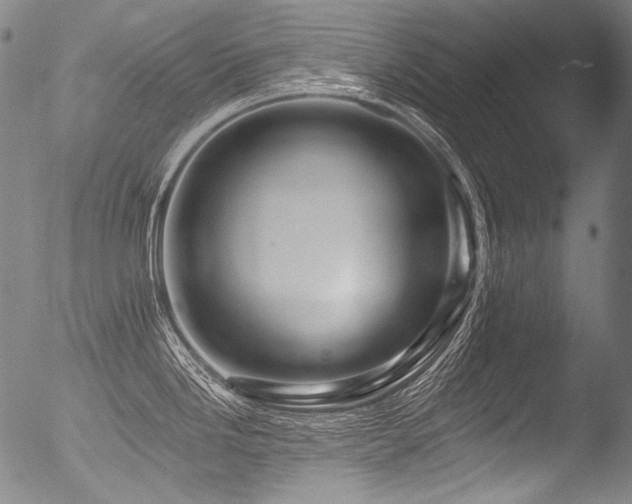 X0000053101246200507111215