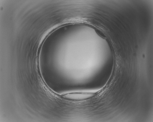 X0000053101288200507111214