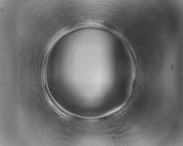 X0000053101391200507111212