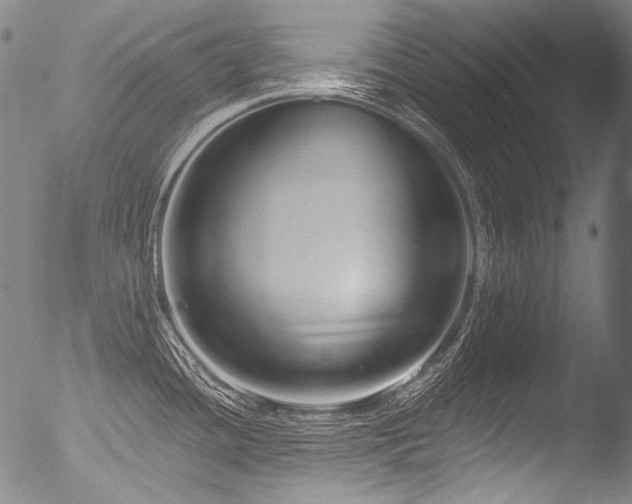 X0000053101436200507111212