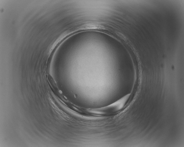 X0000053101465200507111211