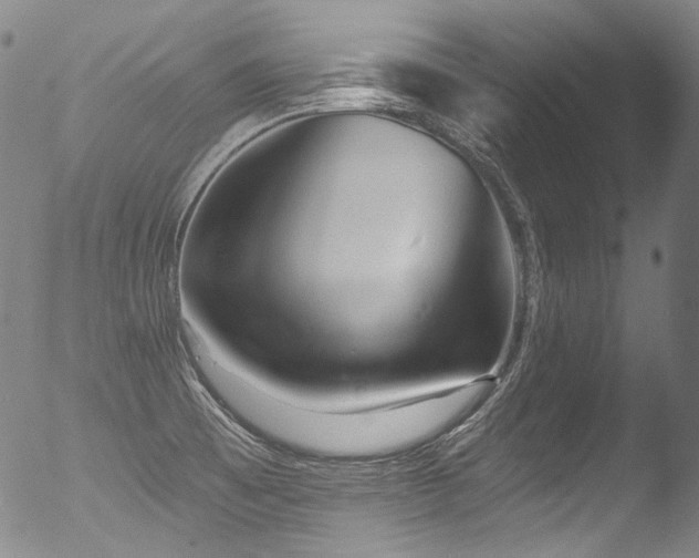 X0000053101473200507111211