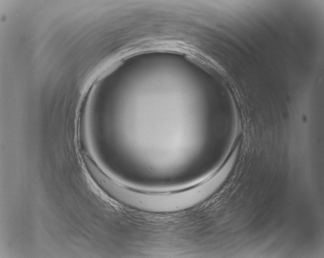 X0000053101528200507111210