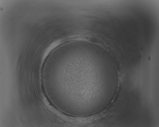 X0000053100006200507181757
