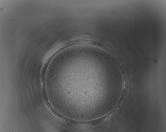 X0000053100245200507181752