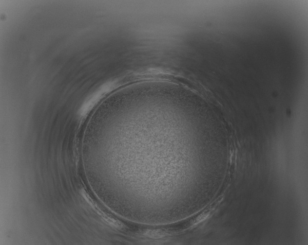 X0000053100341200507181750