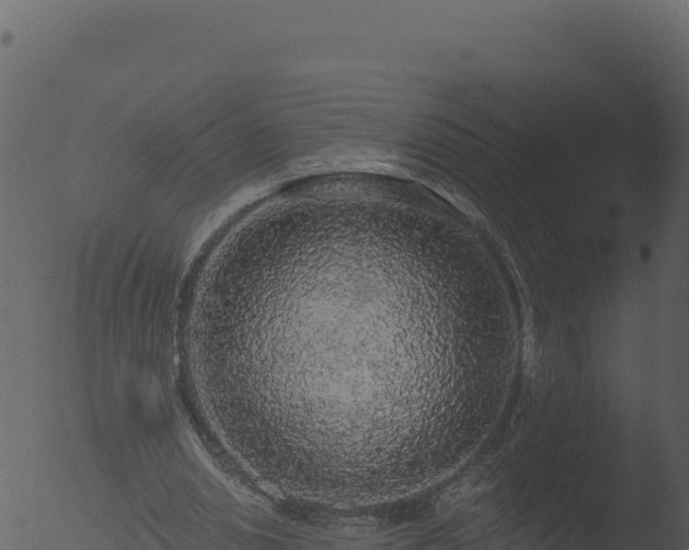 X0000053100438200507181749