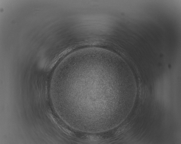 X0000053100442200507181749
