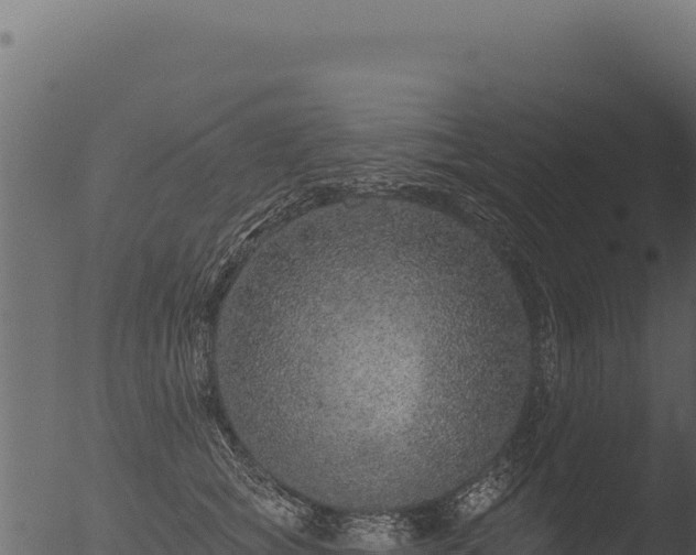 X0000053100757200507181744