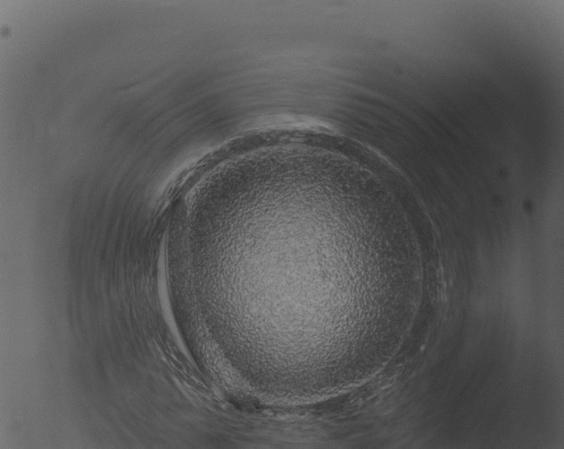 X0000053100775200507181744