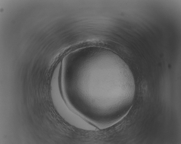 X0000053100776200507181744