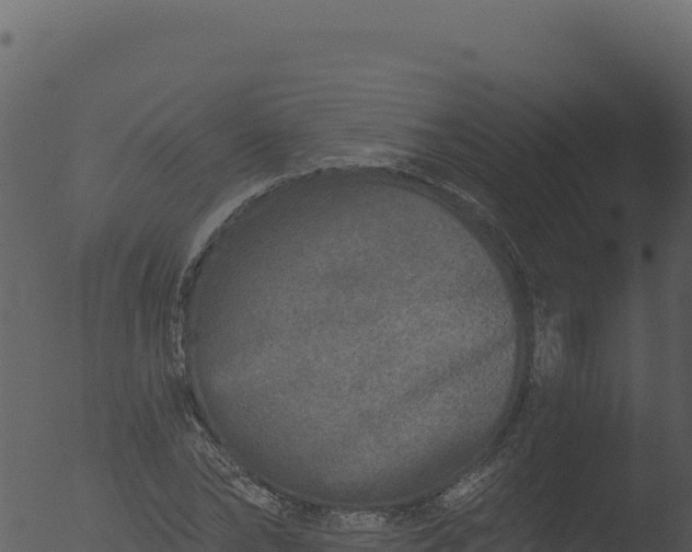 X0000053100878200507181742