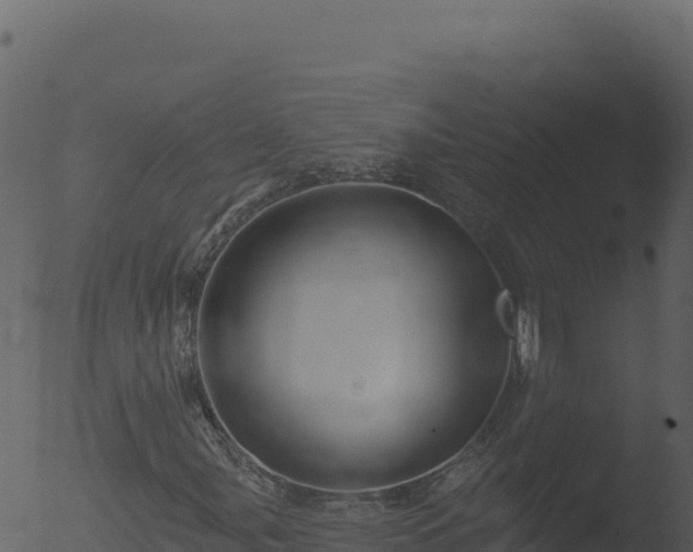 X0000053101107200507181737