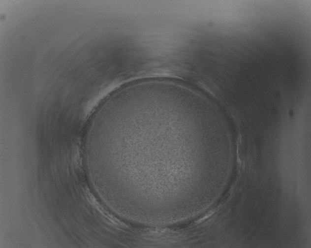 X0000053101452200507181732