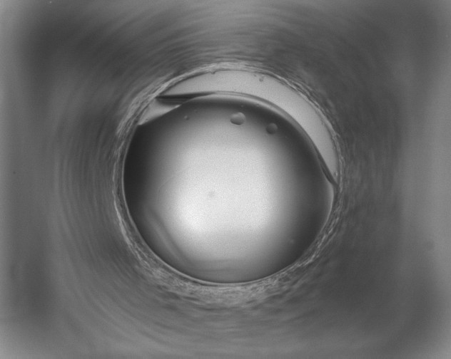 X0000053100001200507251643