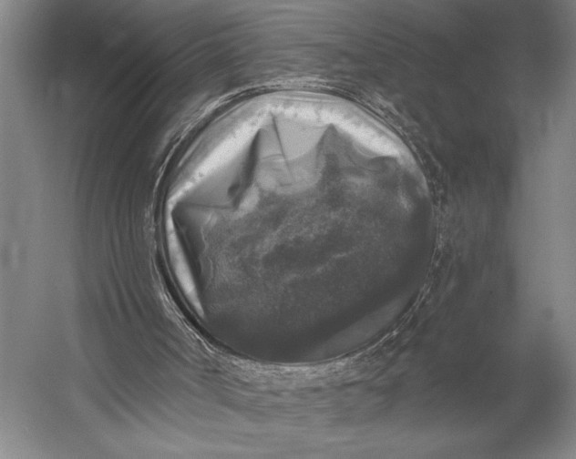 X0000053100002200507251643