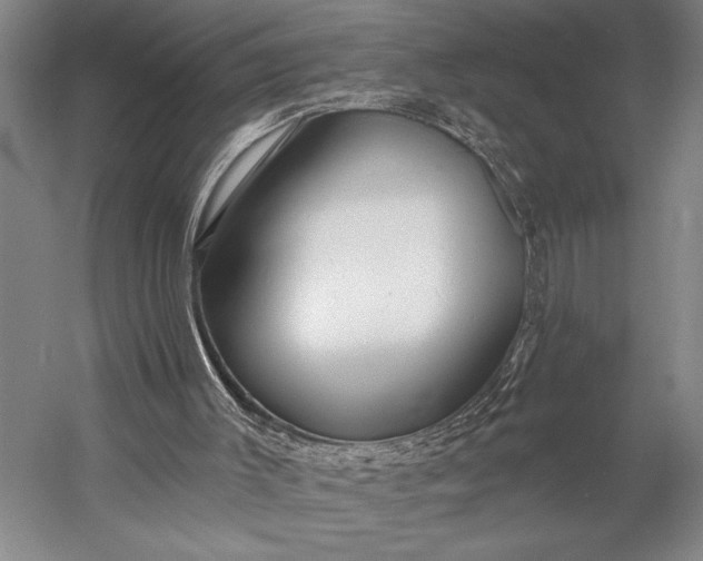 X0000053100003200507251643