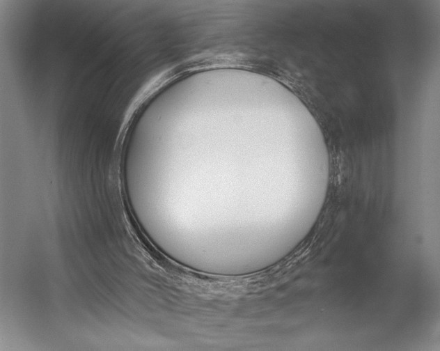 X0000053100004200507251643