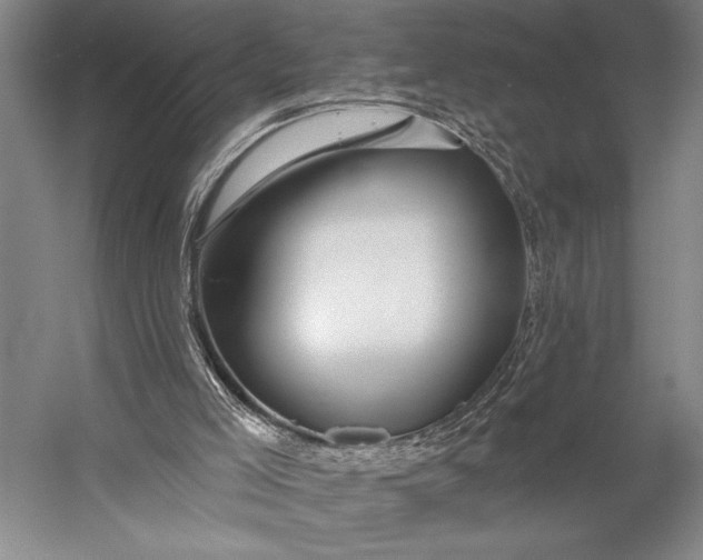 X0000053100005200507251643