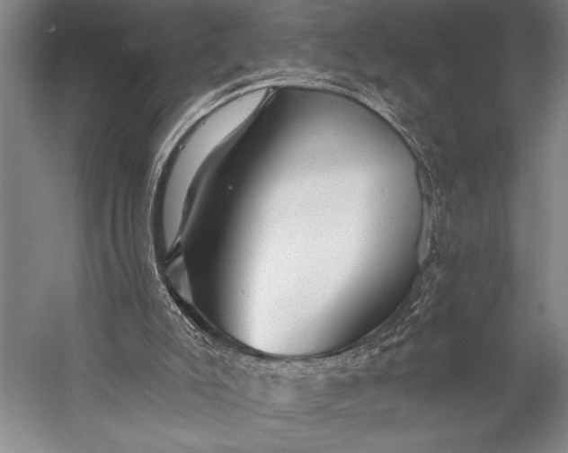 X0000053100007200507251643