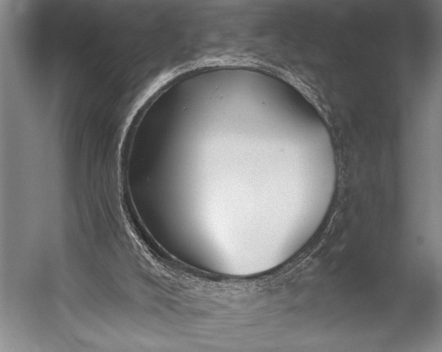 X0000053100008200507251643