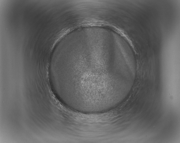X0000053100010200507251643