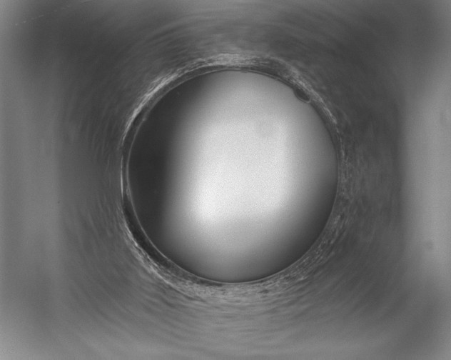 X0000053100011200507251643