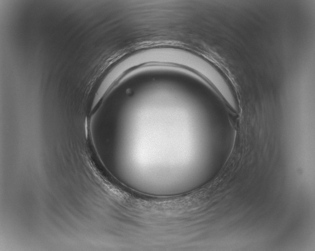 X0000053100013200507251643