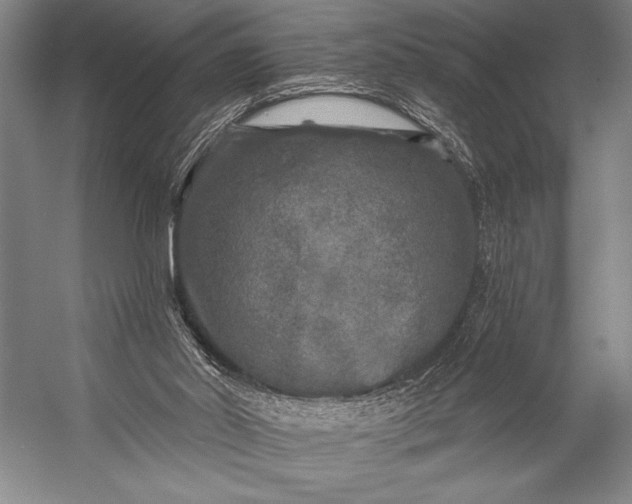 X0000053100014200507251643