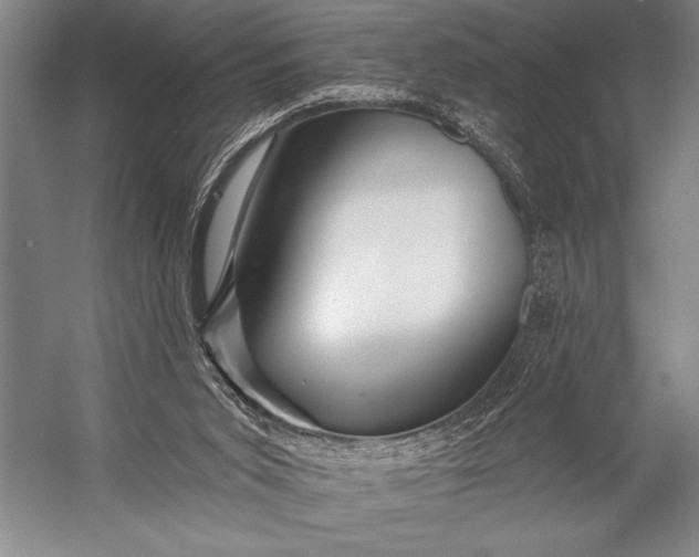 X0000053100015200507251643