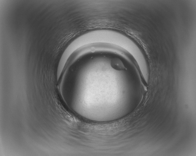 X0000053100017200507251643