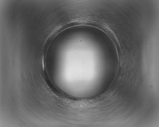 X0000053100020200507251643
