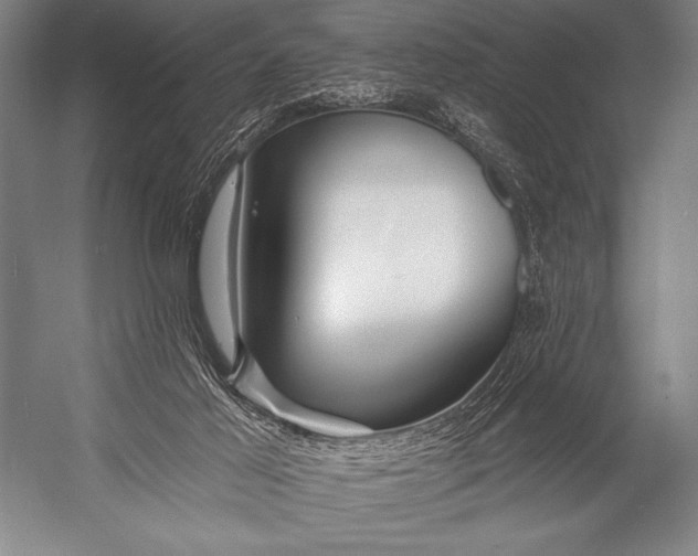 X0000053100021200507251643