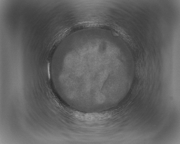 X0000053100022200507251643