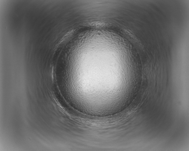 X0000053100024200507251643