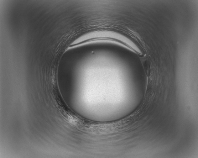 X0000053100025200507251642